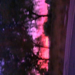 Meet your Posher, Lia